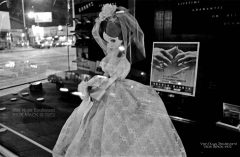 VN Blvd.-081-17 <strong>'Wedding Doll'</strong>