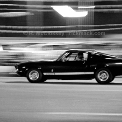 VN Blvd.-007-34A 'Pony Ride'