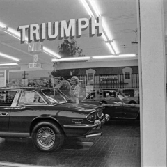 VN Blvd.-MYS-001 'Triumph'