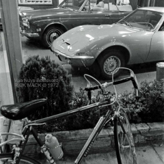 VN Blvd.-037-7A 'The Choice'